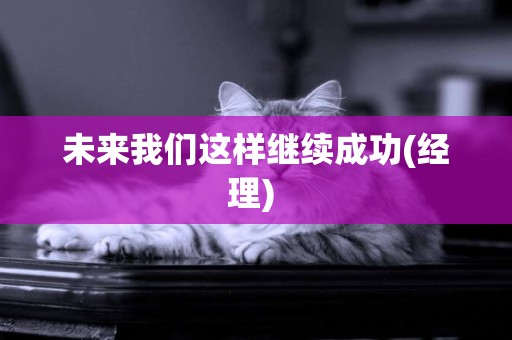 未來我們這樣繼續成功(經理) 