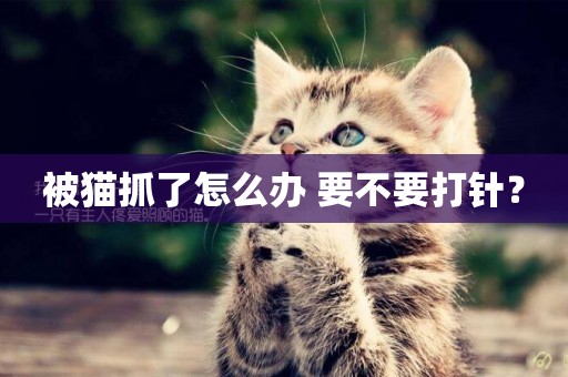 被貓抓了怎么辦 要不要打針？