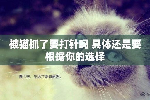 被貓抓了要打針嗎 具體還是要根據你的選擇