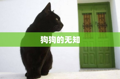 狗狗的無知
