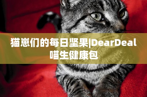 貓崽們的每日堅果|DearDeal喵生健康包 貓崽們的每日堅果|DearDeal喵生健康包