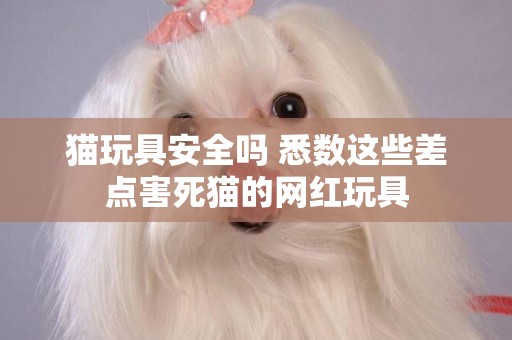 貓玩具安全嗎 悉數這些差點害死貓的網紅玩具