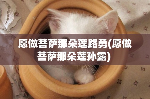 愿做菩薩那朵蓮路勇(愿做菩薩那朵蓮孫露) 