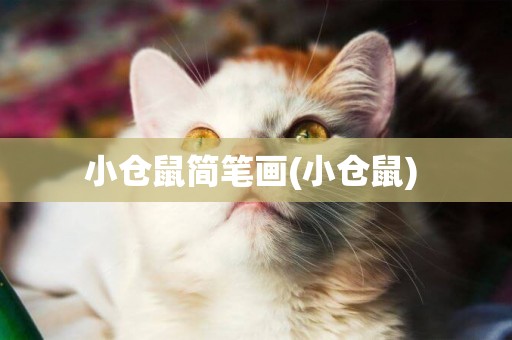小倉鼠簡筆畫(小倉鼠) 