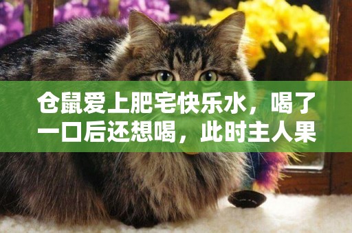 倉鼠愛上肥宅快樂水，喝了一口后還想喝，此時主人果斷拒絕了 