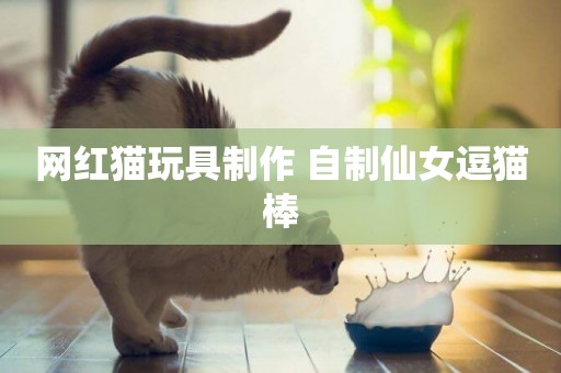網紅貓玩具制作 自制仙女逗貓棒