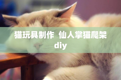 貓玩具制作  仙人掌貓爬架diy