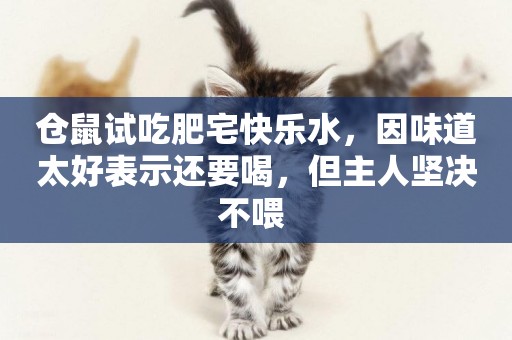 倉鼠試吃肥宅快樂水，因味道太好表示還要喝，但主人堅決不喂 