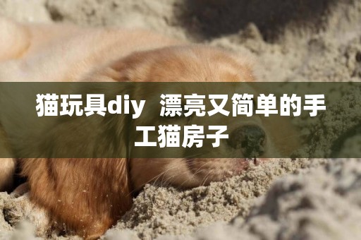 貓玩具diy  漂亮又簡單的手工貓房子