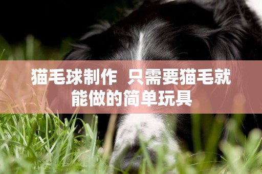 貓毛球制作  只需要貓毛就能做的簡單玩具