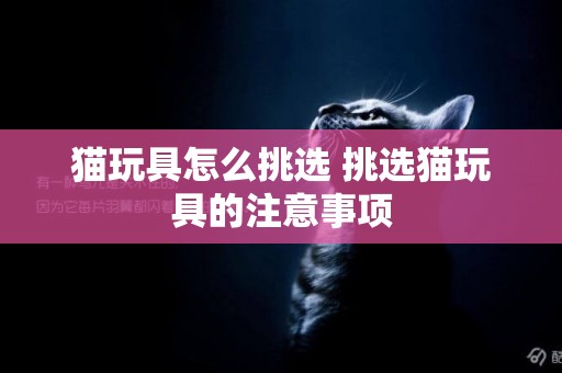 貓玩具怎么挑選 挑選貓玩具的注意事項