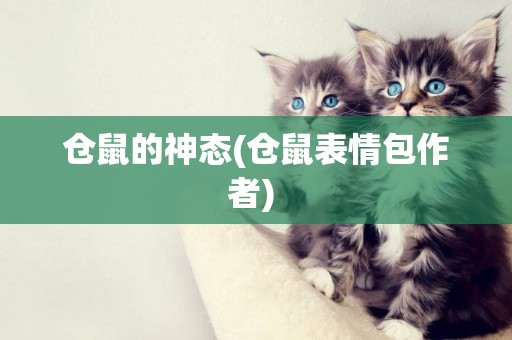 倉鼠的神態(倉鼠表情包作者) 