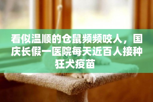 看似溫順的倉鼠頻頻咬人，國慶長假一醫院每天近百人接種狂犬疫苗 
