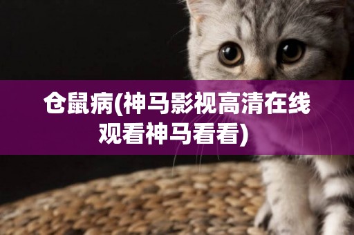 倉鼠病(神馬影視高清在線觀看神馬看看) 
