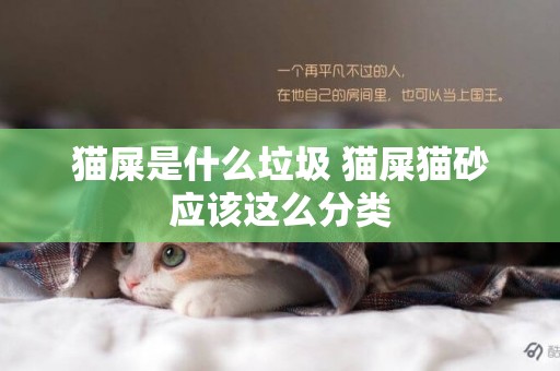 貓屎是什么垃圾 貓屎貓砂應該這么分類
