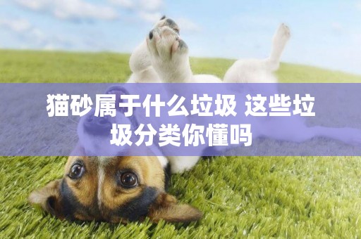 貓砂屬于什么垃圾 這些垃圾分類你懂嗎