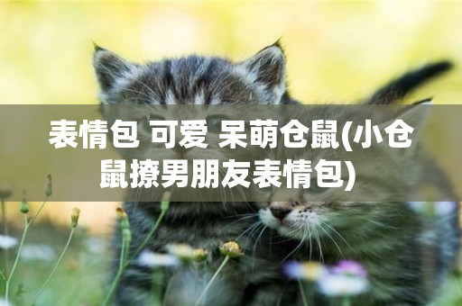 表情包 可愛 呆萌倉鼠(小倉鼠撩男朋友表情包) 