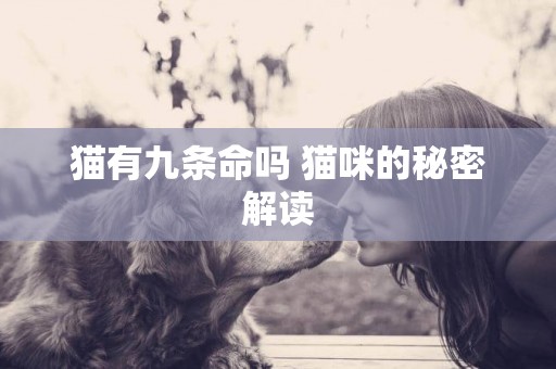 貓有九條命嗎 貓咪的秘密解讀