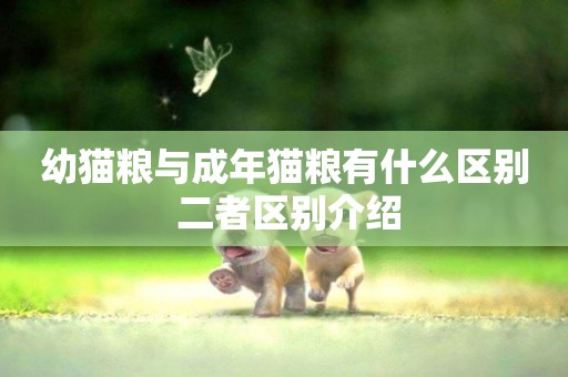 幼貓糧與成年貓糧有什么區別 二者區別介紹