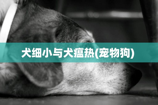犬細小與犬瘟熱(寵物狗) 