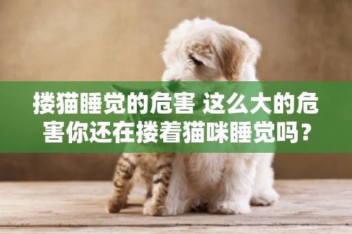 摟貓睡覺的危害 這么大的危害你還在摟著貓咪睡覺嗎？