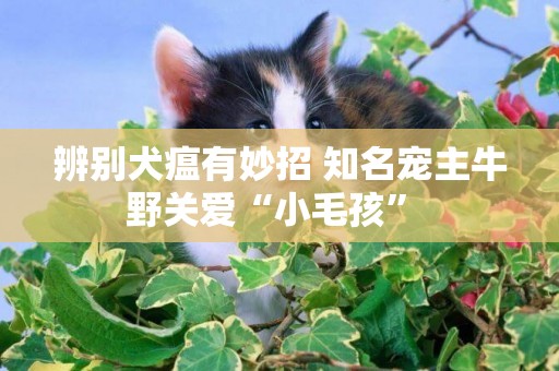 辨別犬瘟有妙招 知名寵主牛野關愛“小毛孩” 