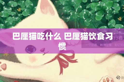 巴厘貓吃什么 巴厘貓飲食習慣