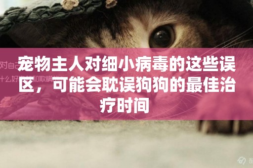 寵物主人對細小病毒的這些誤區，可能會耽誤狗狗的最佳治療時間 