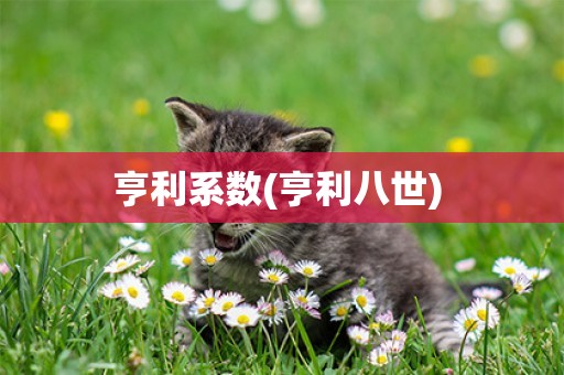 亨利系數(亨利八世) 