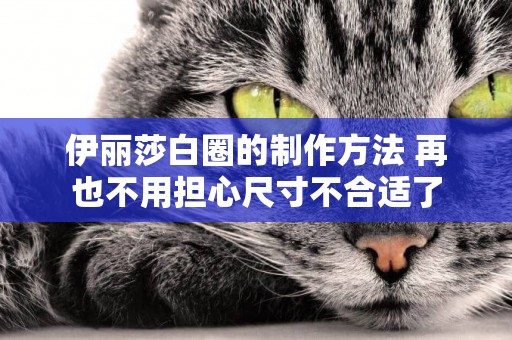 伊麗莎白圈的制作方法 再也不用擔心尺寸不合適了