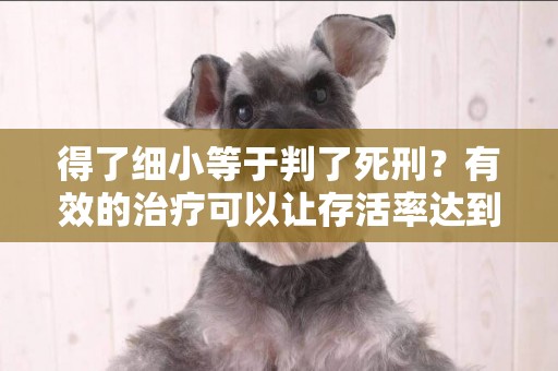 得了細小等于判了死刑？有效的治療可以讓存活率達到80%~95% 