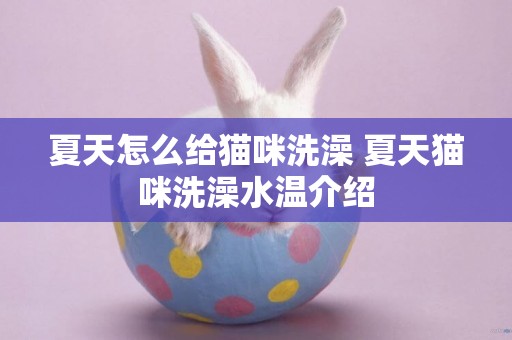 夏天怎么給貓咪洗澡 夏天貓咪洗澡水溫介紹