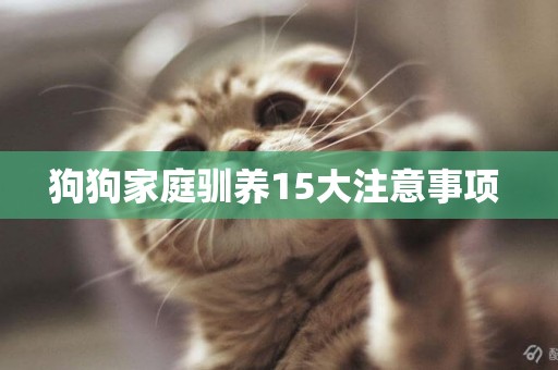 狗狗家庭馴養15大注意事項 