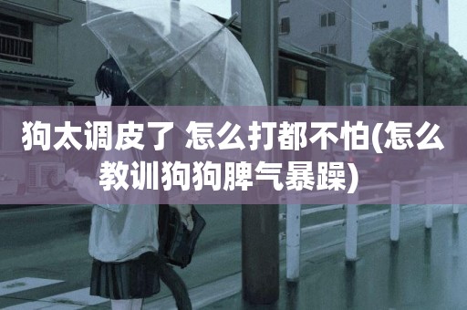 狗太調皮了 怎么打都不怕(怎么教訓狗狗脾氣暴躁) 