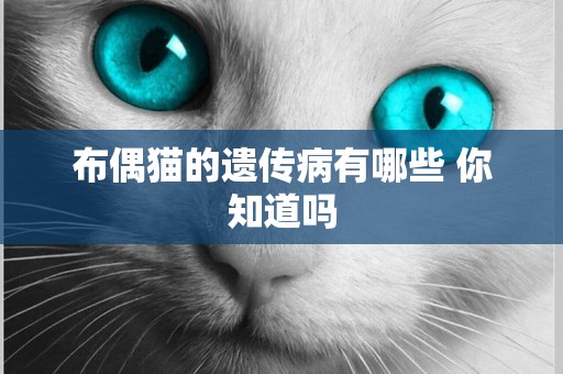 布偶貓的遺傳病有哪些 你知道嗎