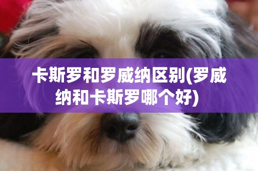 卡斯羅和羅威納區別(羅威納和卡斯羅哪個好) 
