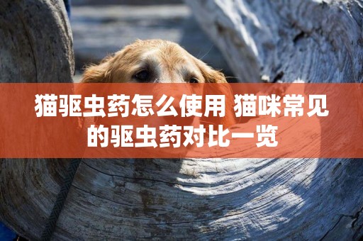 貓驅蟲藥怎么使用 貓咪常見的驅蟲藥對比一覽