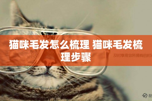貓咪毛發怎么梳理 貓咪毛發梳理步驟