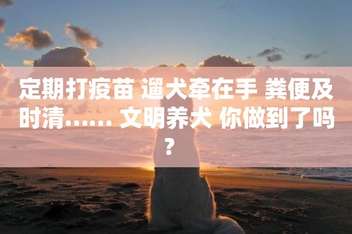 定期打疫苗 遛犬牽在手 糞便及時清…… 文明養犬 你做到了嗎？ 