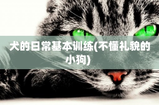 犬的日常基本訓練(不懂禮貌的小狗) 