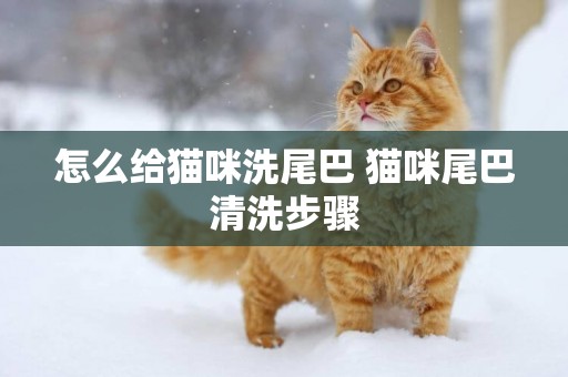 怎么給貓咪洗尾巴 貓咪尾巴清洗步驟