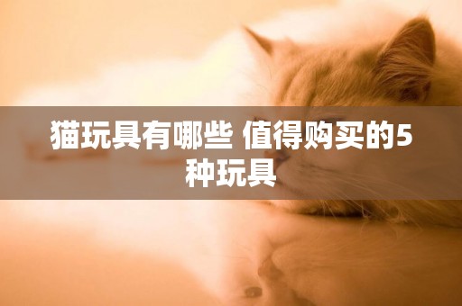 貓玩具有哪些 值得購買的5種玩具