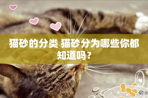 貓砂的分類 貓砂分為哪些你都知道嗎？