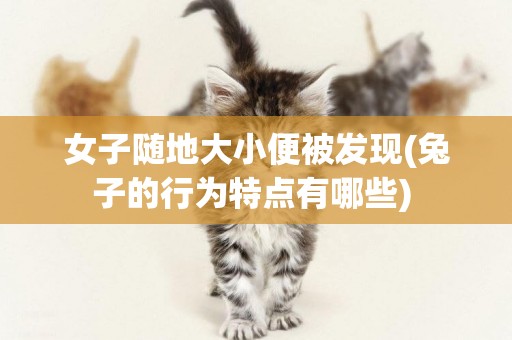女子隨地大小便被發現(兔子的行為特點有哪些) 