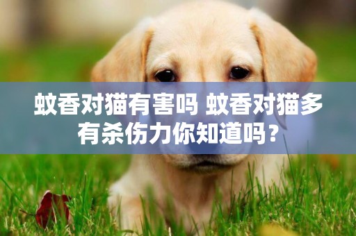 蚊香對貓有害嗎 蚊香對貓多有殺傷力你知道嗎？