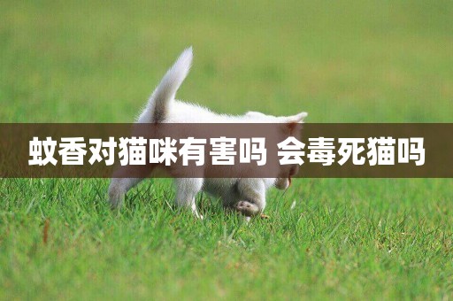 蚊香對貓咪有害嗎 會毒死貓嗎