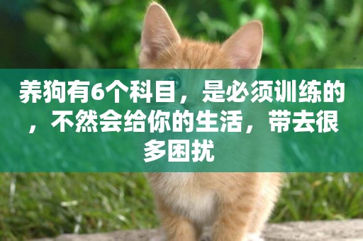 養狗有6個科目，是必須訓練的，不然會給你的生活，帶去很多困擾 