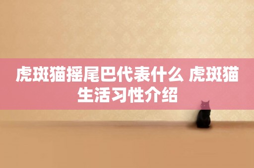 虎斑貓搖尾巴代表什么 虎斑貓生活習性介紹