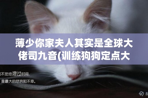 薄少你家夫人其實是全球大佬司九音(訓練狗狗定點大小便) 