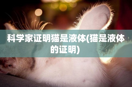 科學家證明貓是液體(貓是液體的證明) 